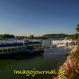Linz am Rhein, Fähre und Moby Dick